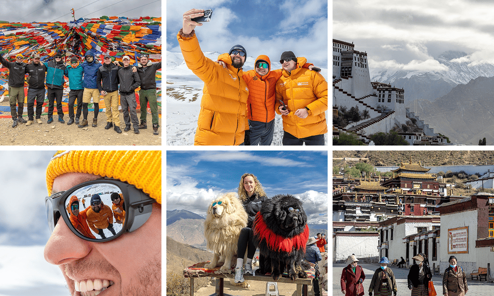 Collage from a Regolith Travel trip across Tibet: the group at prayer flags, a selfie in snowy mountains, the Potala Palace, Tibetan mastiffs and a Buddhist monastery.