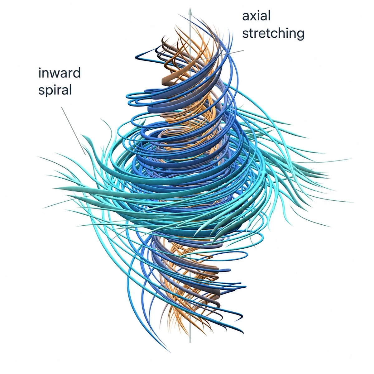 Visualization of a fluid vortex, with colored trajectories spiraling inward and stretching along a vertical axis.