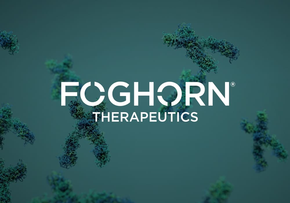 Foghorn Therapeutics