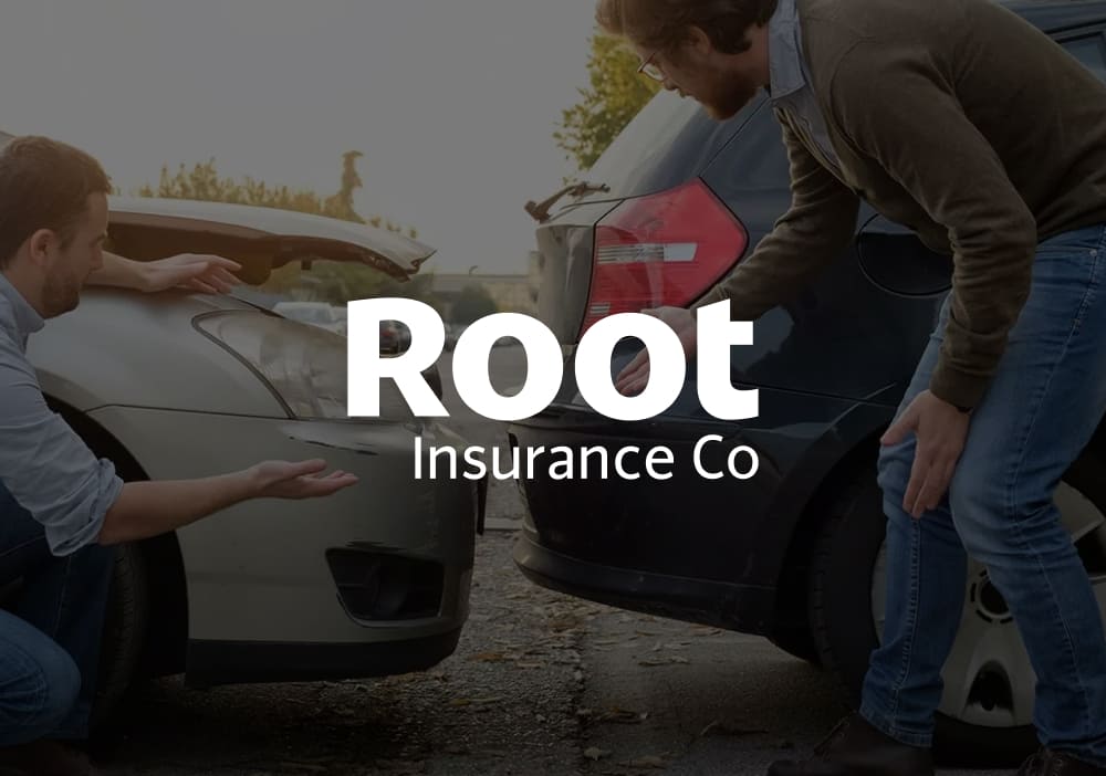 Root