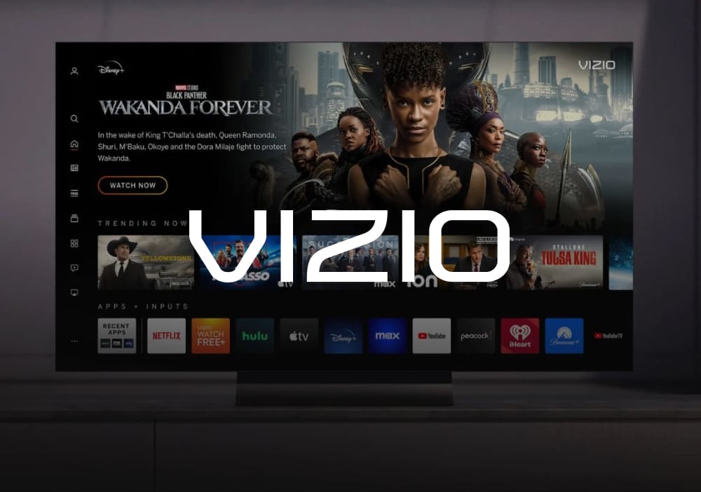 Vizio