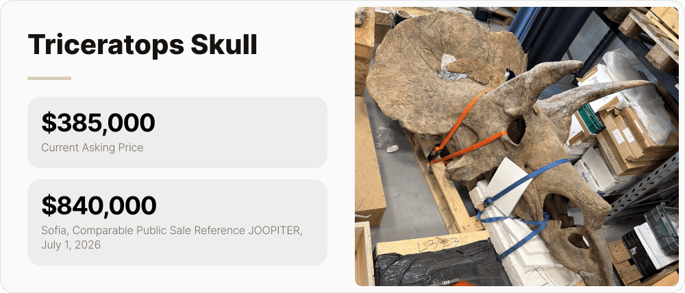 Triceratops skull: asking price $385,000; comparable Sofia skull sale $840,000.