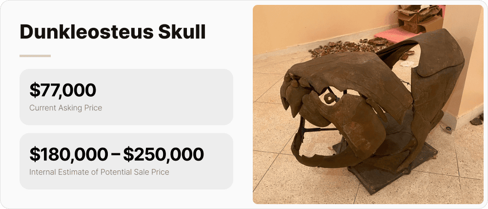 Dunkleosteus skull: asking price $77,000; internal estimate of potential sale price $180,000–250,000.