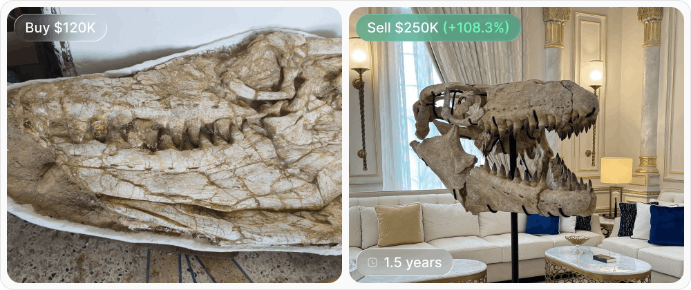 Mosasaur case: purchased for $120,000 and sold for $250,000 after 18 months, a 108.3% increase in value.