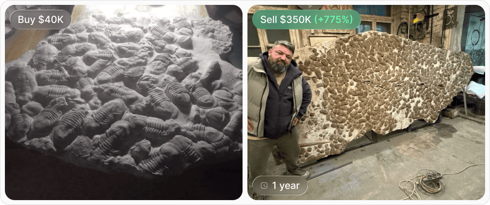 Trilobite slab: $40,000 cost and $350,000 sale price, a 775% increase in value.