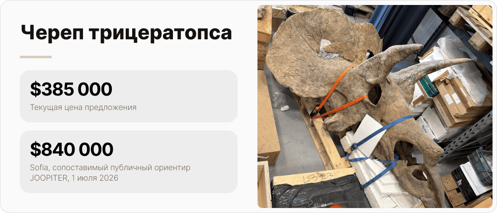 Череп трицератопса в мастерской, текущий лот Regolith и Artefactum на $385 000.