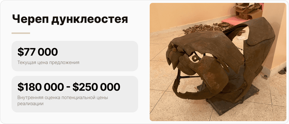 Череп дунклеостея из текущего предложения Regolith и Artefactum: сумма по лоту $77 000.