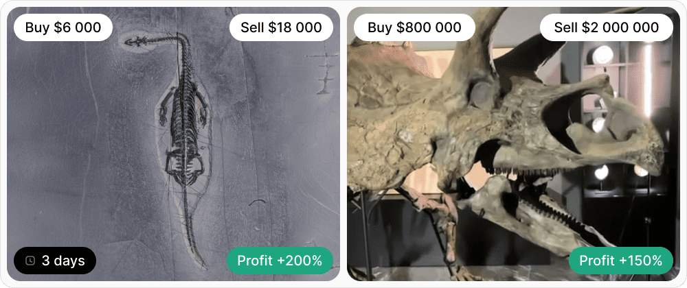 Кайхозавр (куплен за $6 000, продан через три дня за $18 000) и трицератопс (куплен за $800 000, продан за $2 млн).