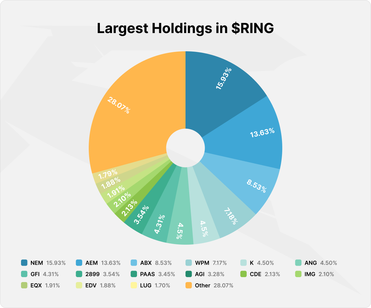 Largest holdings breakdown in the RING ETF portfolio