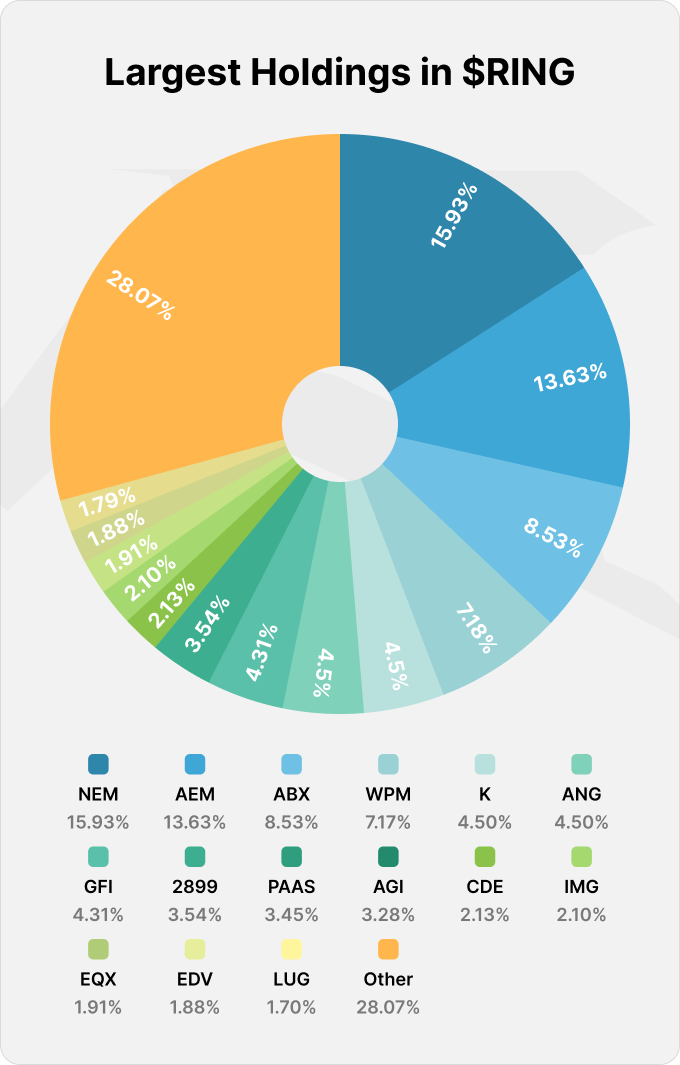 Largest holdings breakdown in the RING ETF portfolio