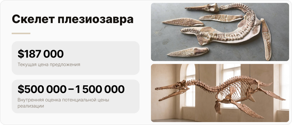 Скелет плезиозавра: цена предложения $187 000, внутренняя оценка потенциальной цены реализации $500 000–1 500 000. Собранный скелет показан на созданной ИИ визуализации желаемого результата.