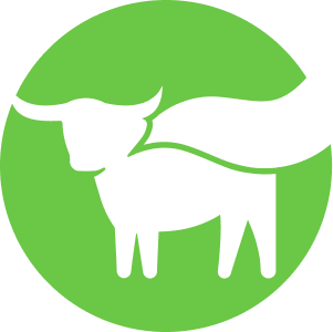 Beyond Meat