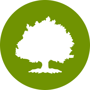Oak Street Health